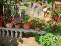 Недвижимость Семейный дом в центре Опатии: 24