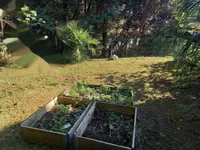 Недвижимость Трёхкомнатная квартира в центре: 18