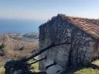 Недвижимость Дом для Реновации в Центре: 1