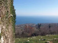 Недвижимость Дом для Реновации в Центре: 9