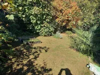 Недвижимость Трехкомнатная Квартира в Центре: 20