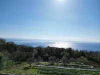 Недвижимость Новый Дом, Центр, Опатия: 9