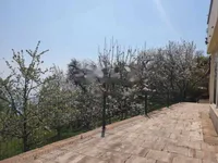 Недвижимость Дом в Центре Опатии: 15