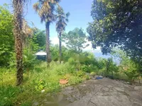 Недвижимость Четырехкомнатная квартира, Центр, Опатия: 21