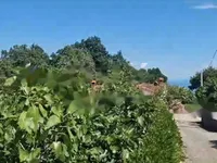 Недвижимость Коттедж 85 м² в Центре Опатии: 13