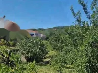 Недвижимость Коттедж 85 м² в Центре Опатии: 14