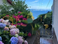 Недвижимость Однокомнатная квартира в центре: 24