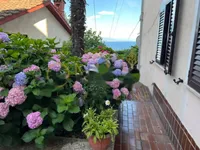 Недвижимость Однокомнатная квартира в центре: 25