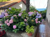 Недвижимость Однокомнатная квартира в центре: 27