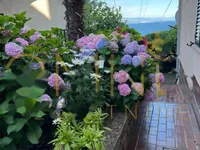 Недвижимость Однокомнатная квартира в центре: 28