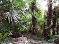 Недвижимость Четырехкомнатная квартира в центре, Опатия: 18