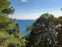 Недвижимость Квартира в центре Опатии: 2