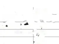 Недвижимость Квартира в центре Опатии: 11