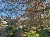 Недвижимость Обитель 213 м², Центр, Опатия: 4