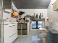 Недвижимость Трехкомнатная квартира, Центр: 11