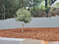 Недвижимость Четырехкомнатная квартира в центре Опатии: 18