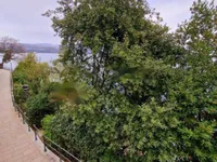 Недвижимость Трехкомнатная квартира в центре: 3