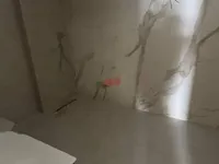 Недвижимость Двухкомнатная квартира, Центр: 8