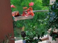 Недвижимость Трёхкомнатная квартира, Центр, Опатия: 14