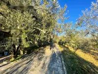 Недвижимость Дом, Кркавче: 9