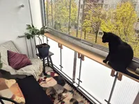 Недвижимость Однокомнатная квартира Вич: 5