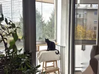 Недвижимость Однокомнатная квартира Вич: 8