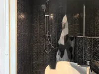 Недвижимость Квартира-студия в центре Копера: 6