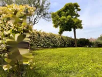 Недвижимость Трёхкомнатная квартира Коломбан: 12