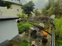 Недвижимость Трехкомнатная квартира в центре: 15