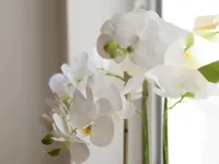 Недвижимость Old Church Street: 11