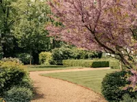 Недвижимость Carlyle Square, Chelsea: 5