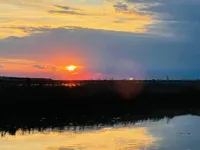 Недвижимость Новое трёхкомнатное жильё Сеча: 18