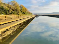 Недвижимость Новое трёхкомнатное жильё Сеча: 22