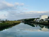 Недвижимость Новое трёхкомнатное жильё Сеча: 28