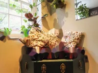 Недвижимость Norfolk House, London, United Kingdom: 16