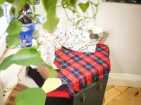 Недвижимость Norfolk House, London, United Kingdom: 17