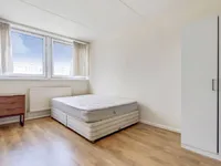 Недвижимость Dellafield, Pooles Park, Finsbury Park: 3