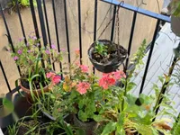 Недвижимость Finchley Road: 5