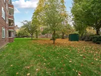 Недвижимость White City Estate: 8