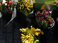 Недвижимость Adamson Road: 5