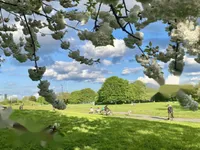 Недвижимость 106 Chandler Way: 3