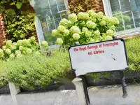 Недвижимость Chelsea Square: 13