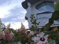 Недвижимость Дом, Шишка: 1