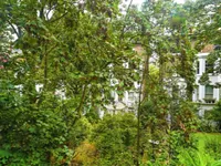 Недвижимость Westgate Terrace: 3