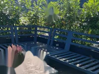 Недвижимость Квартира Ново Подутик: 9