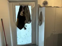 Недвижимость Квартира в центре Изолы: 12