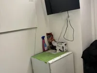 Недвижимость Квартира в центре Изолы: 13