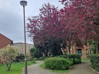 Недвижимость Coopers Close: 4