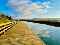 Недвижимость Квартира, 3-комн. на Сече: 2