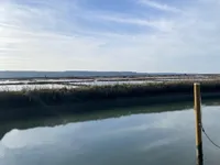 Недвижимость Квартира, 3-комнатная Новая Сеча: 4